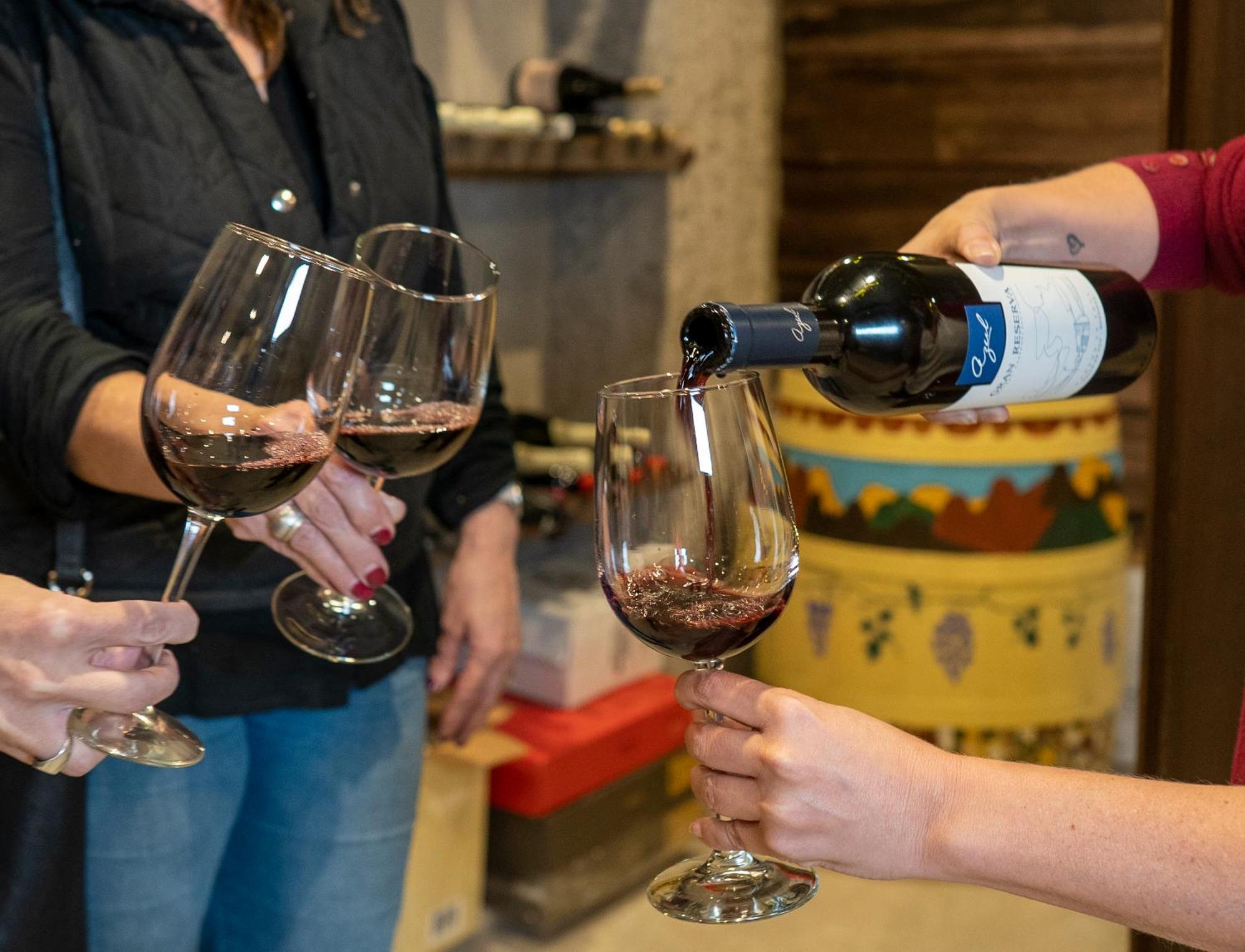 Ayres De Uco Lodge & Wine Lovers Los Árboles 외부 사진